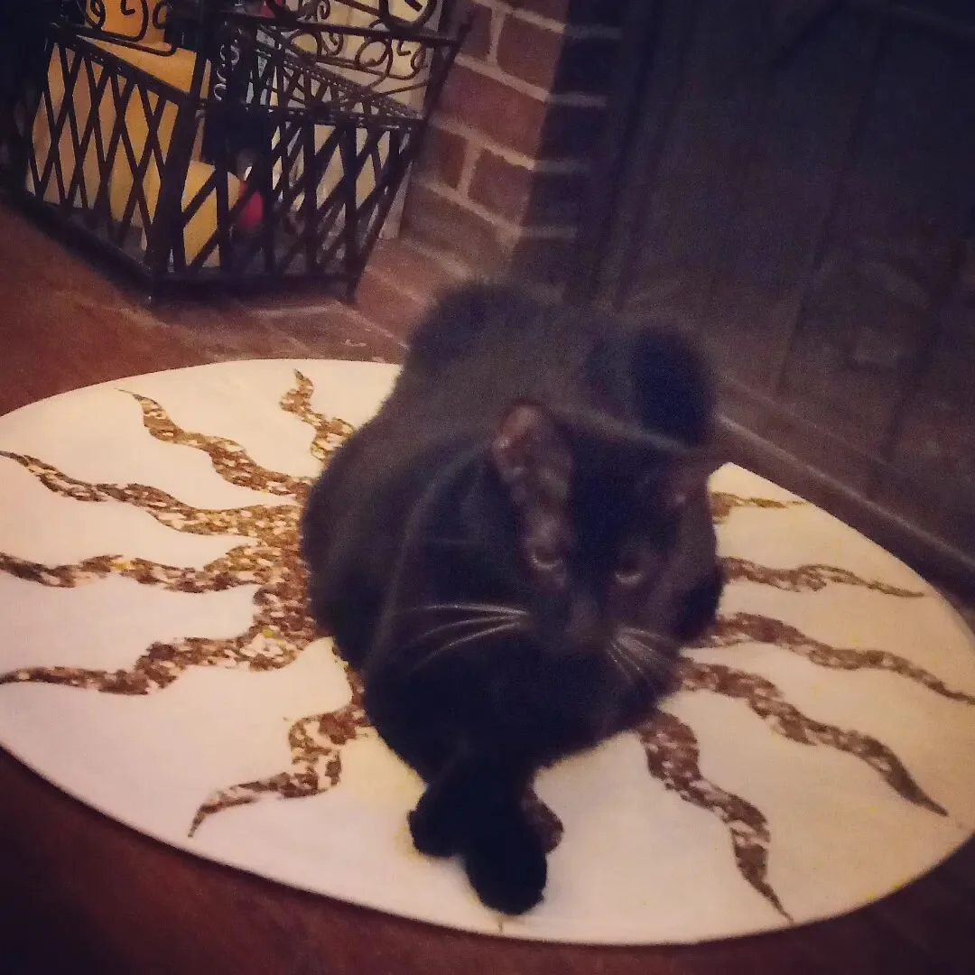 New rug.