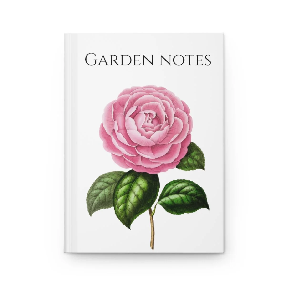 6f460f71a41a9b062b0aa525f3b30d06