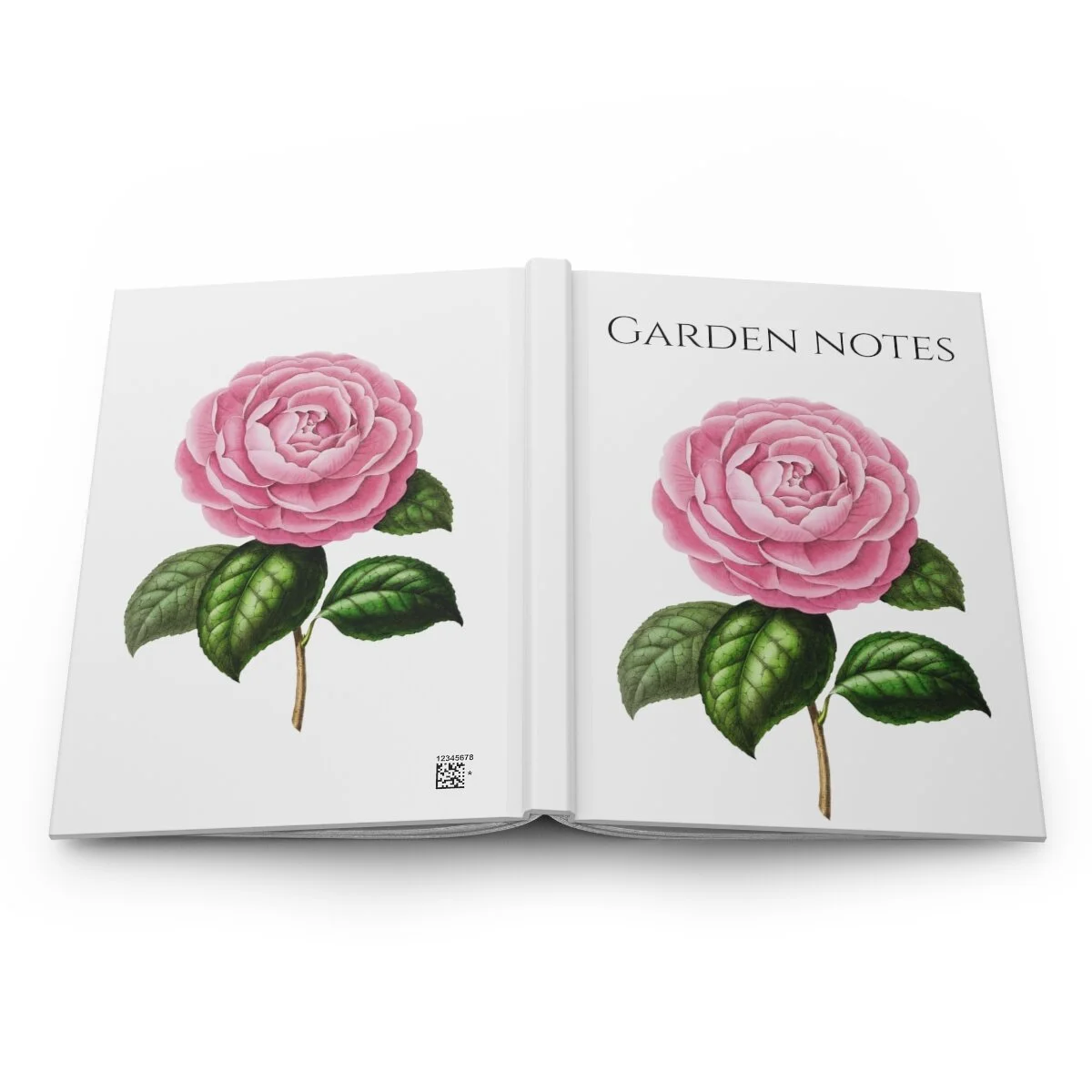 da1ccb1c6c381883568590b0c2238a13