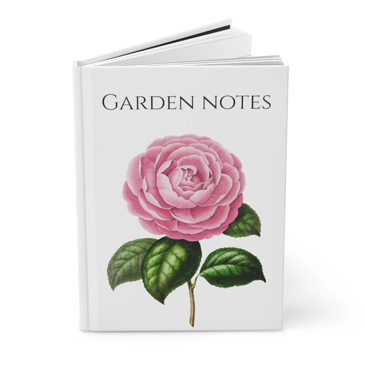 af2c7d3d84850049d3a4d6fe8f11df40