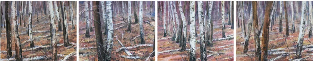 2-waldspaziergang RGB.jpg
