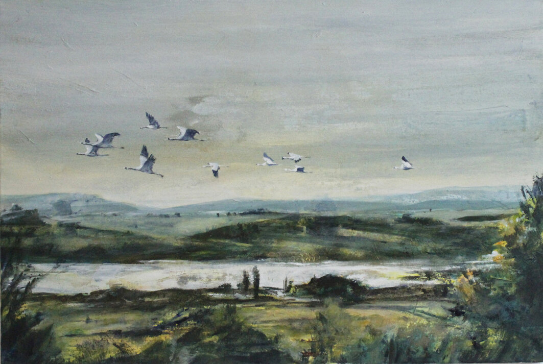 1_flieg, vogel flieg RGB.jpg