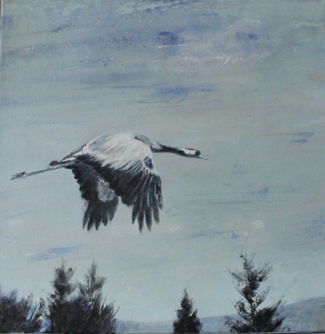 5_flieg vogel flieg RGB.jpg