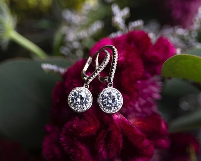 These earrings 😍⠀⠀⠀⠀⠀⠀⠀⠀⠀
⠀⠀⠀⠀⠀⠀⠀⠀⠀
Also- shout out to @melissaenglephotography for informing me that this gorgeous flower is called coxcomb.⠀⠀⠀⠀⠀⠀⠀⠀⠀
⠀⠀⠀⠀⠀⠀⠀⠀⠀
What is your favorite flower?⠀⠀⠀⠀⠀⠀⠀⠀⠀
.⠀⠀⠀⠀⠀⠀⠀⠀⠀
.⠀⠀⠀⠀⠀⠀⠀⠀⠀
.⠀⠀⠀⠀⠀⠀⠀⠀⠀
.⠀⠀⠀⠀⠀⠀⠀⠀⠀
.⠀⠀⠀⠀