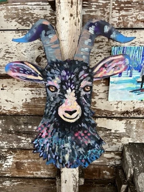 IMG_4742 Medium.jpeg