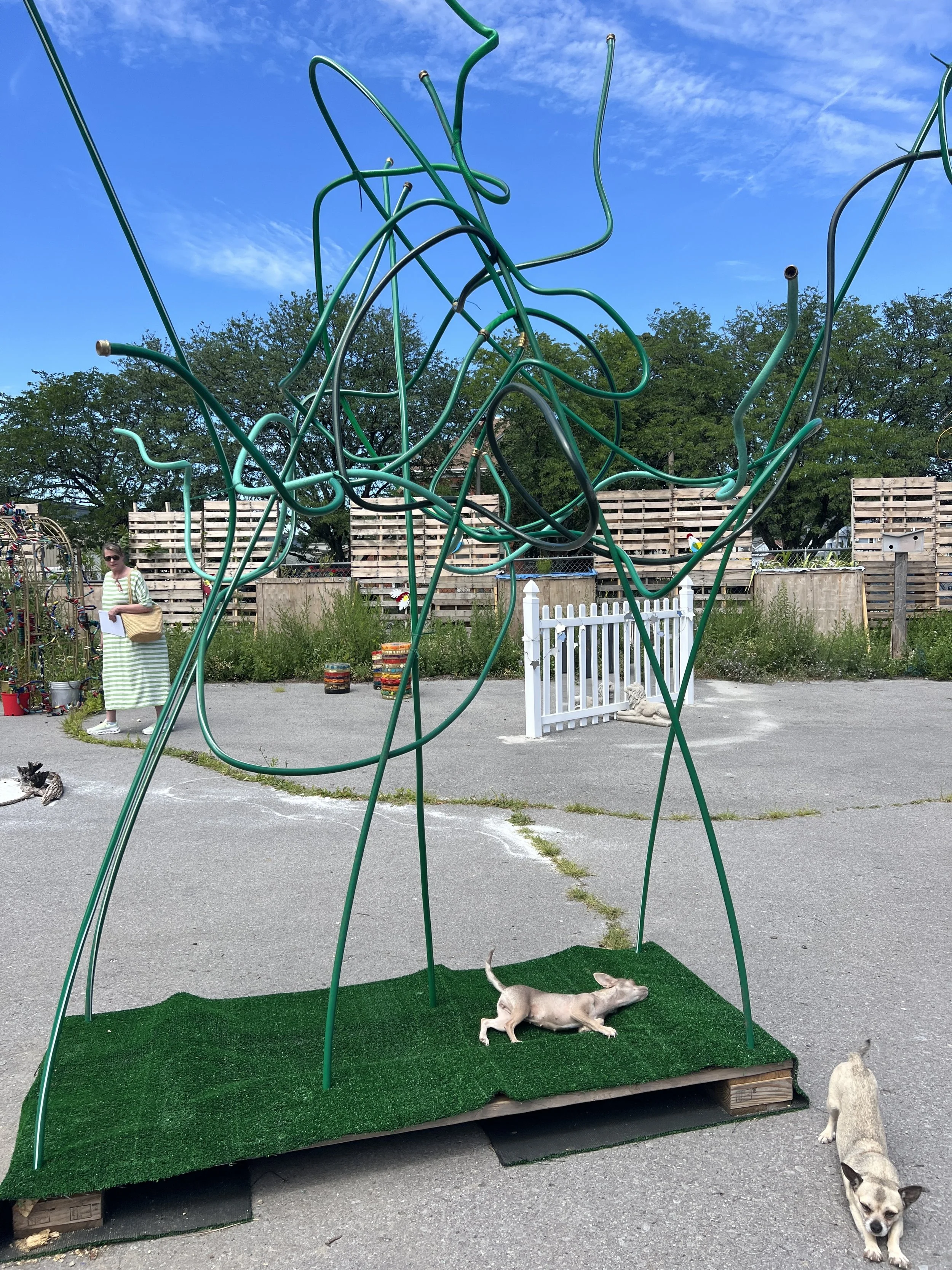 Justin Cooper "Contingent Scribble"