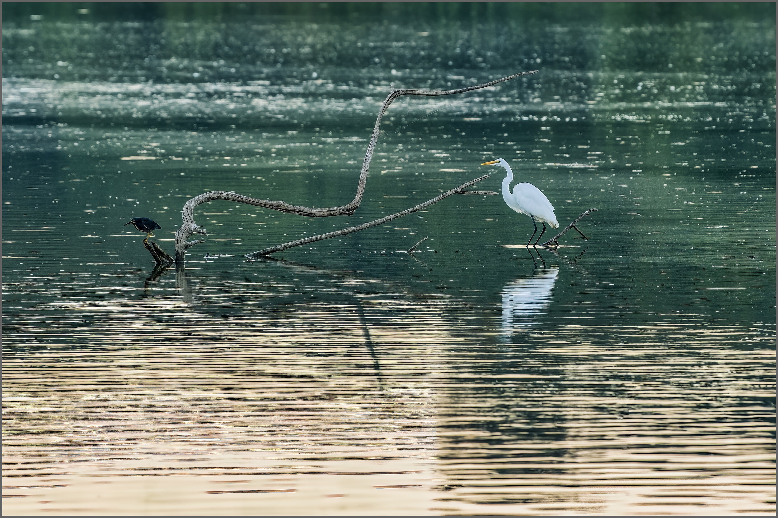 Lake Lewisville, The Colony, Texas