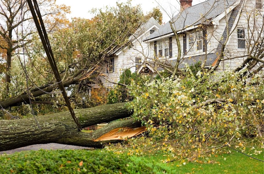 Residential Property Insurance for the Louisiana Dweller