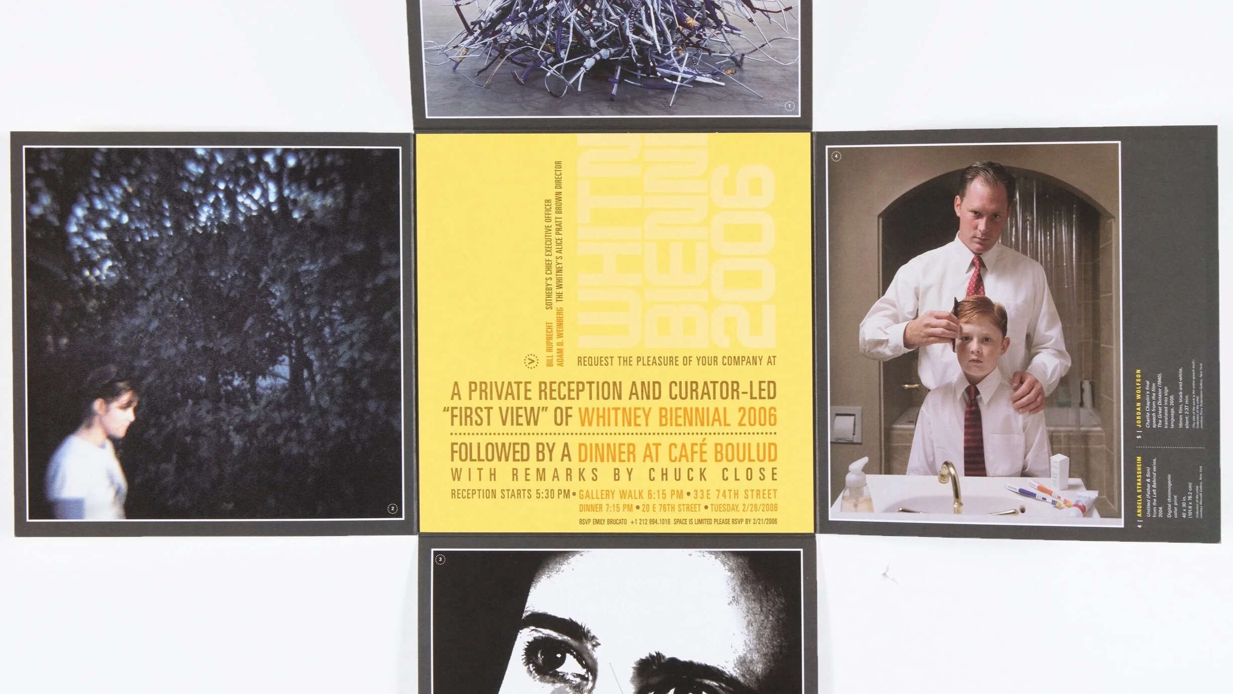 Whitney+Biennial+2006_2c.jpg