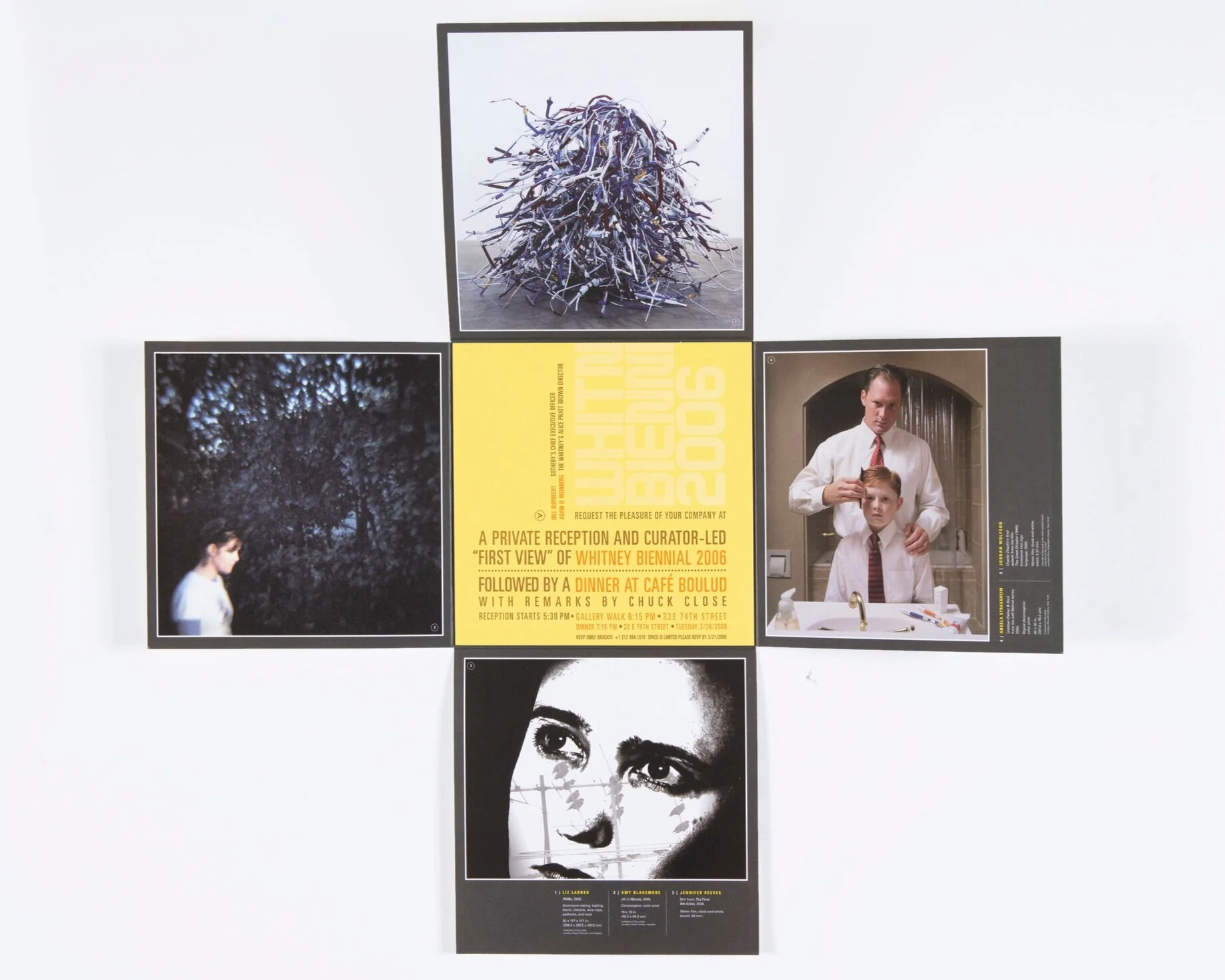 Whitney+Biennial+2006_2b.jpg