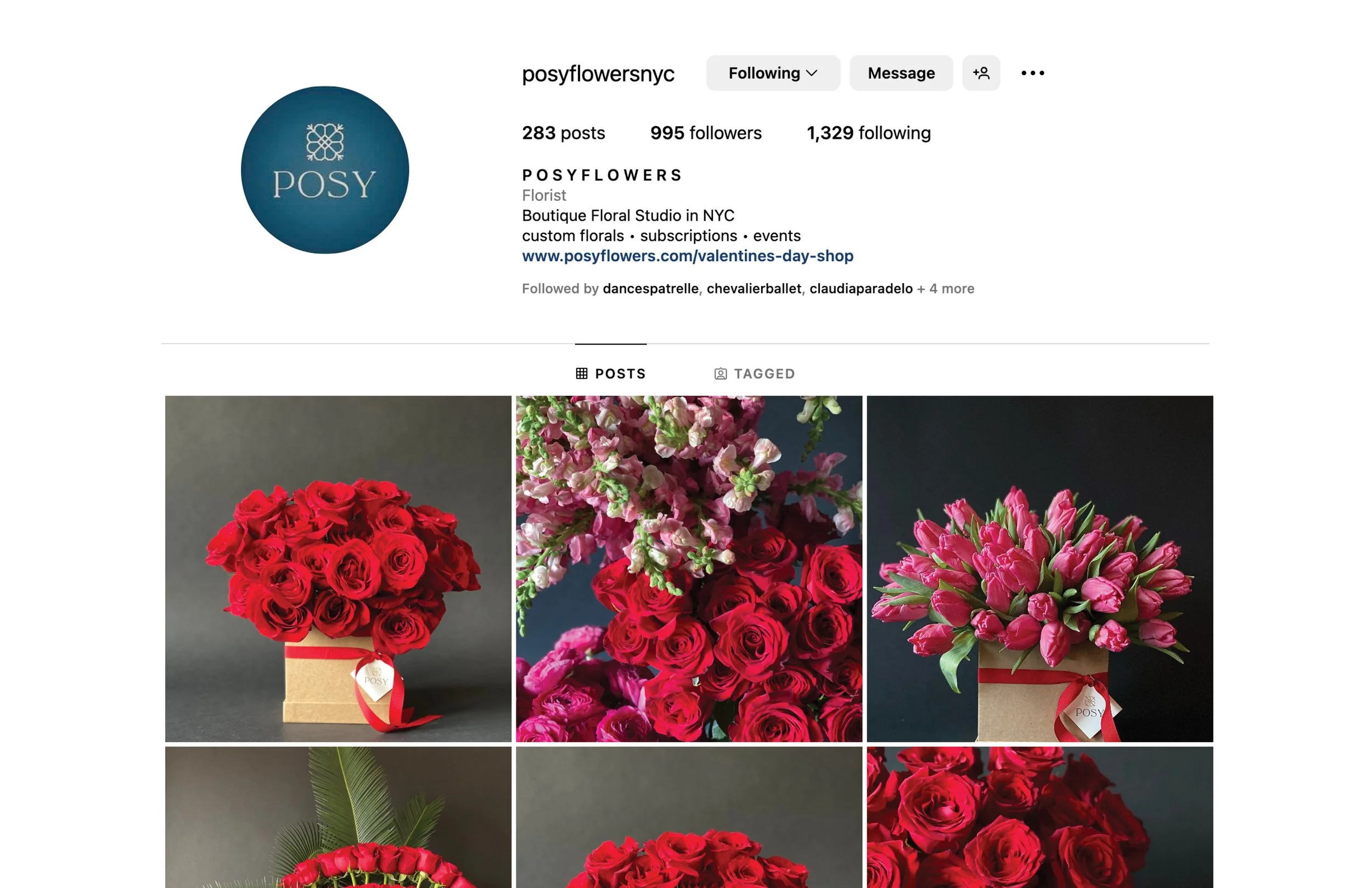 Posy Instagram.jpg