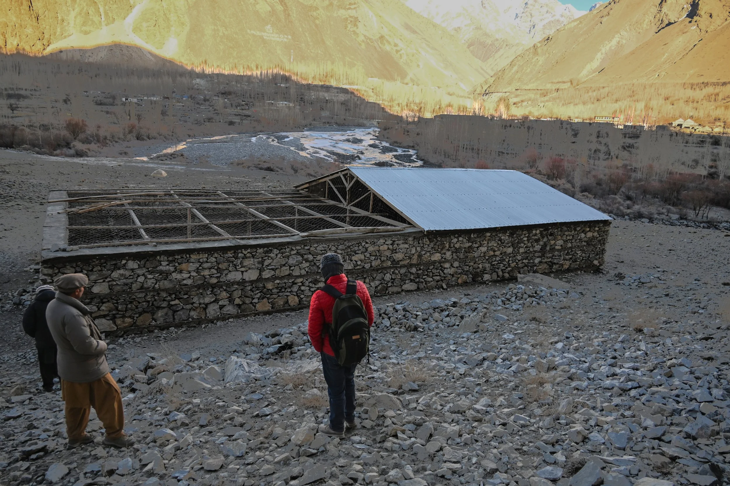 Predator Proof Corral Sost