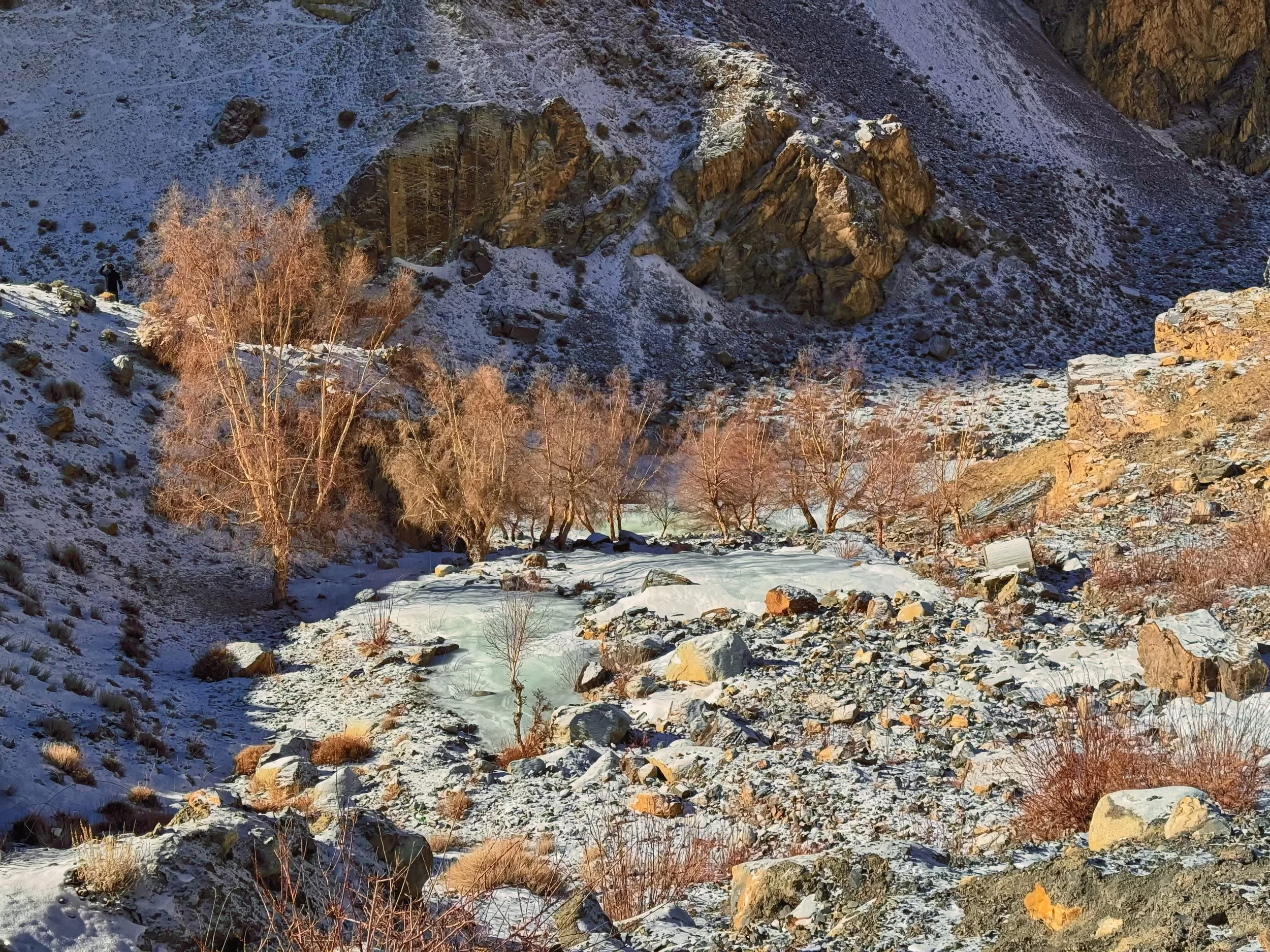 Snow-covered rocky mountain landscape with leafless trees and a frozen stream.