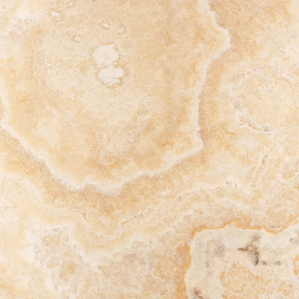Miele Onyx 