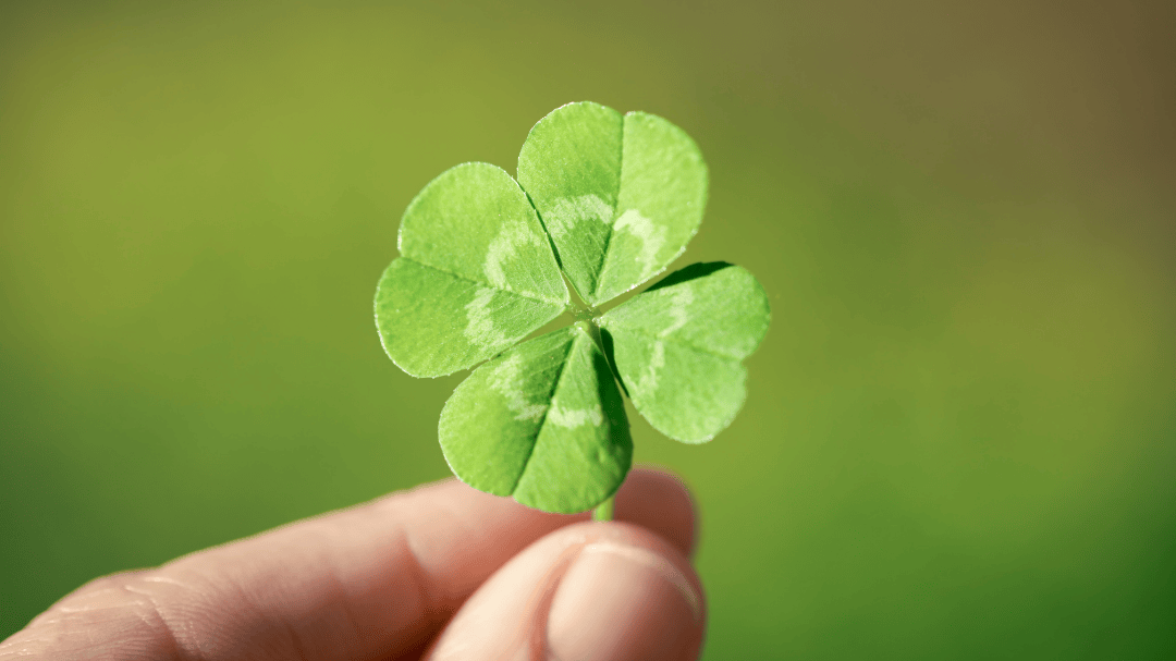 The Luck Factor in Bookkeeping: How Smart Financial Habits Create Opportunity