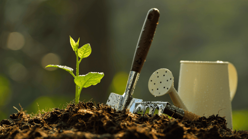 Planting Seeds for Profit: What You Do Now Shapes the Rest of Your Year