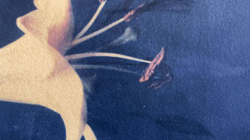ezgif-3-7dcf430aac.gif
