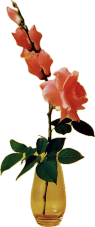 flowersai.png