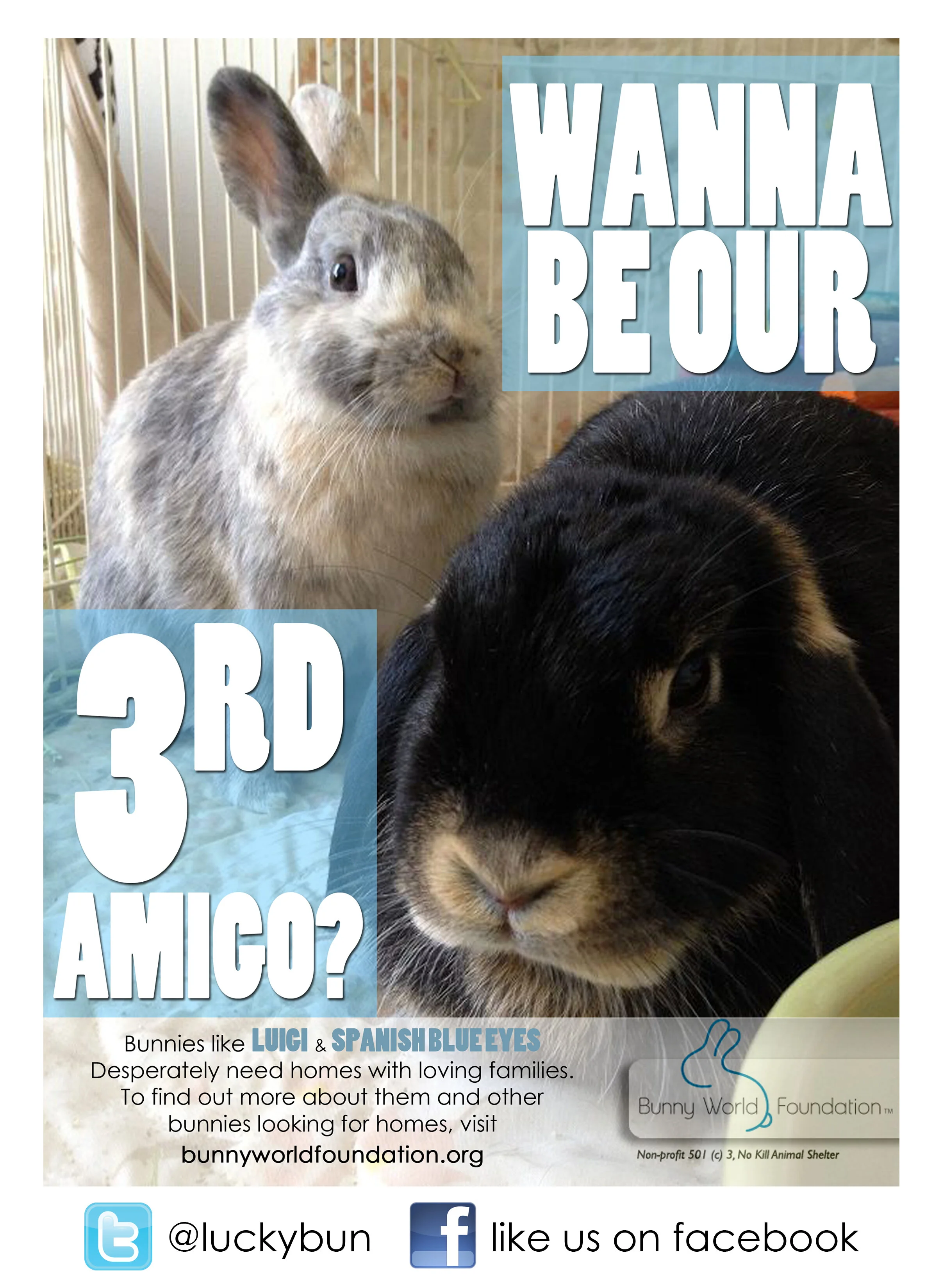 Adopt a bunny, save a life!