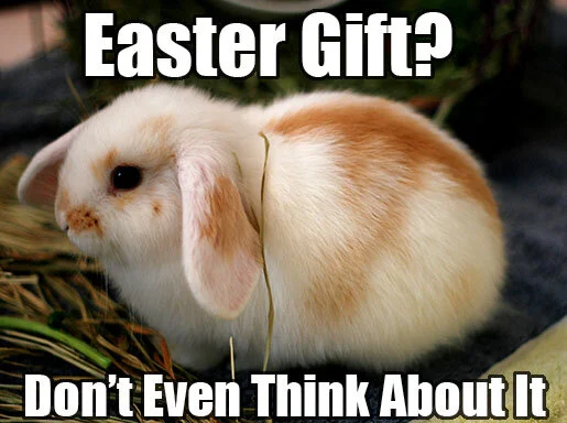 BWF Interview in My News LA