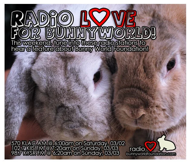 Bunnies on a mission to save the world, one human at a time! ~ The Bunny Lady (BWF)  