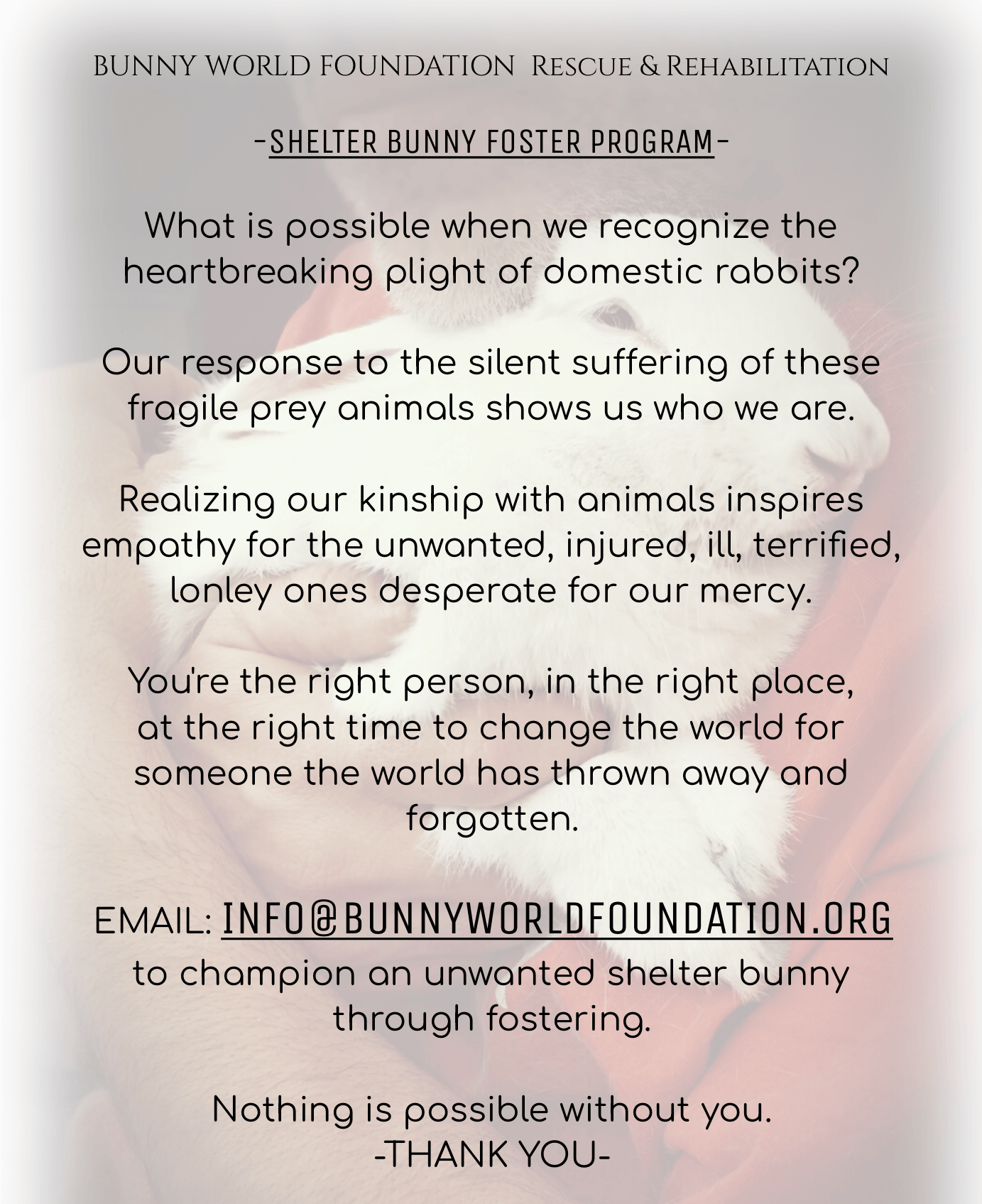 Save a Life: Become a Foster Today!