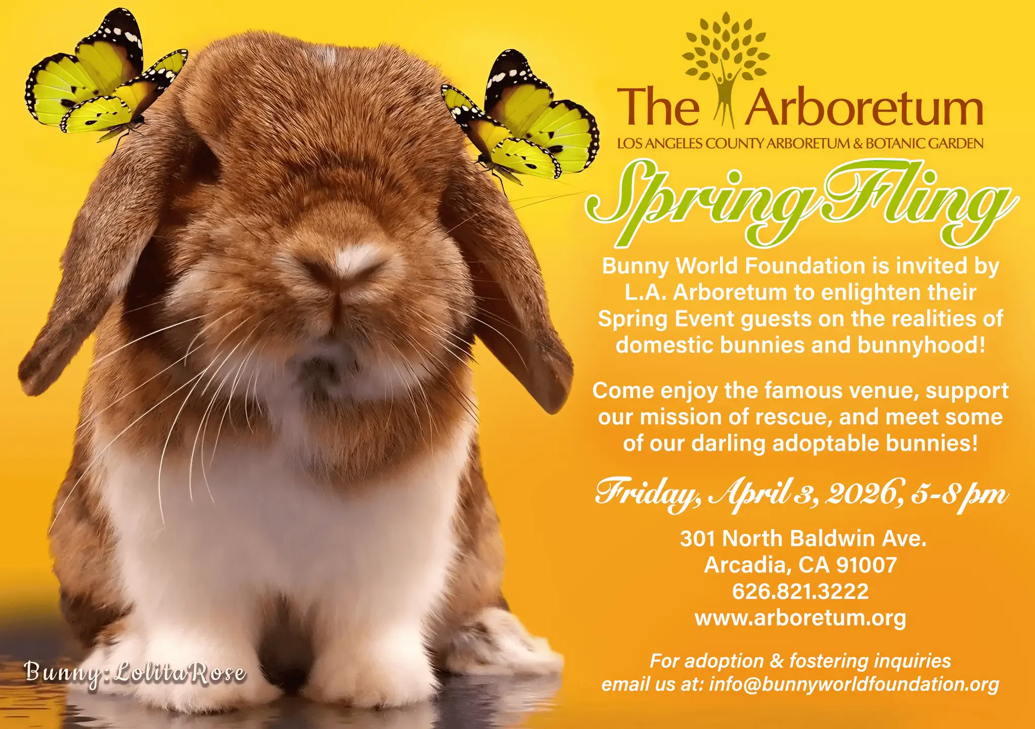 Join us at Spring Fling!