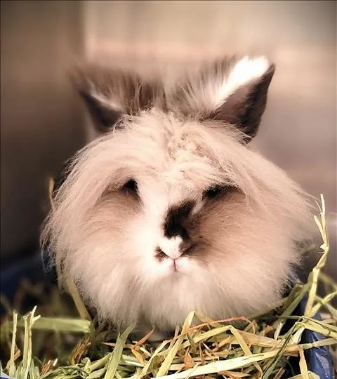 BWF Interview in My News LA