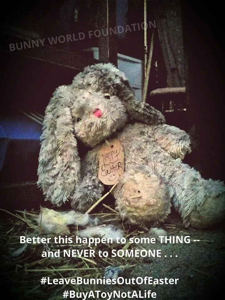 🐇💔 The Easter Bunny We Broke 💔🐇