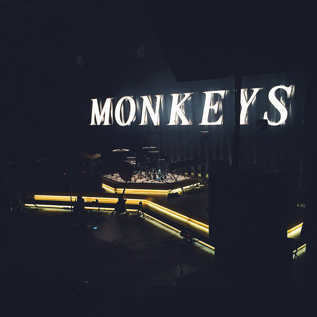 Arctic-Monkeys-Vinylwoman-3.jpg