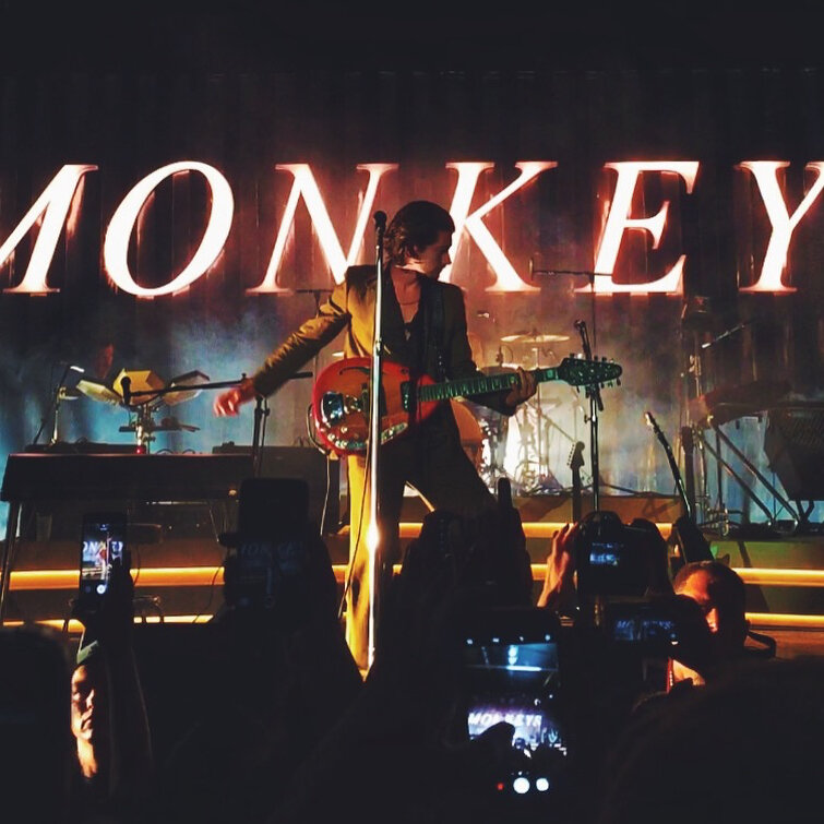 Arctic-Monkeys-Vinylwoman-5.jpg
