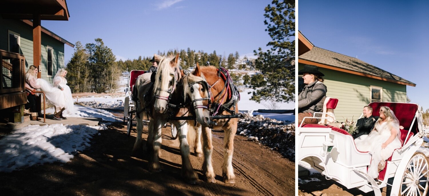  Wedding with horses, Horse pulled carriage, Winter Wedding, Colorado Wedding, Snowy Wedding, Mountain Wedding, Colorado Wedding Planner, Colorado Wedding Rentals, Red Feather Lakes Wedding, Fort Collins Wedding, Rocky Mountain Wedding, Rocky Mountai