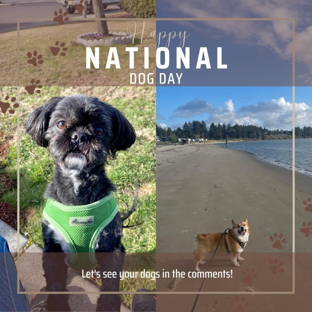 Happy National Dog Day! ❤️🐶❤️

#LMC #Construction #Life #Dog #BestFriend #Woof #DogMom #DogDad #NationalDogDay #HappyNationalDogDay #FeelGoodFriday #FurBaby #DogsOfFacebook #WhoRescuedWho #Paws #DogDay #Pictures #DogLovers #Pets #DogLife #ShihTzu #C