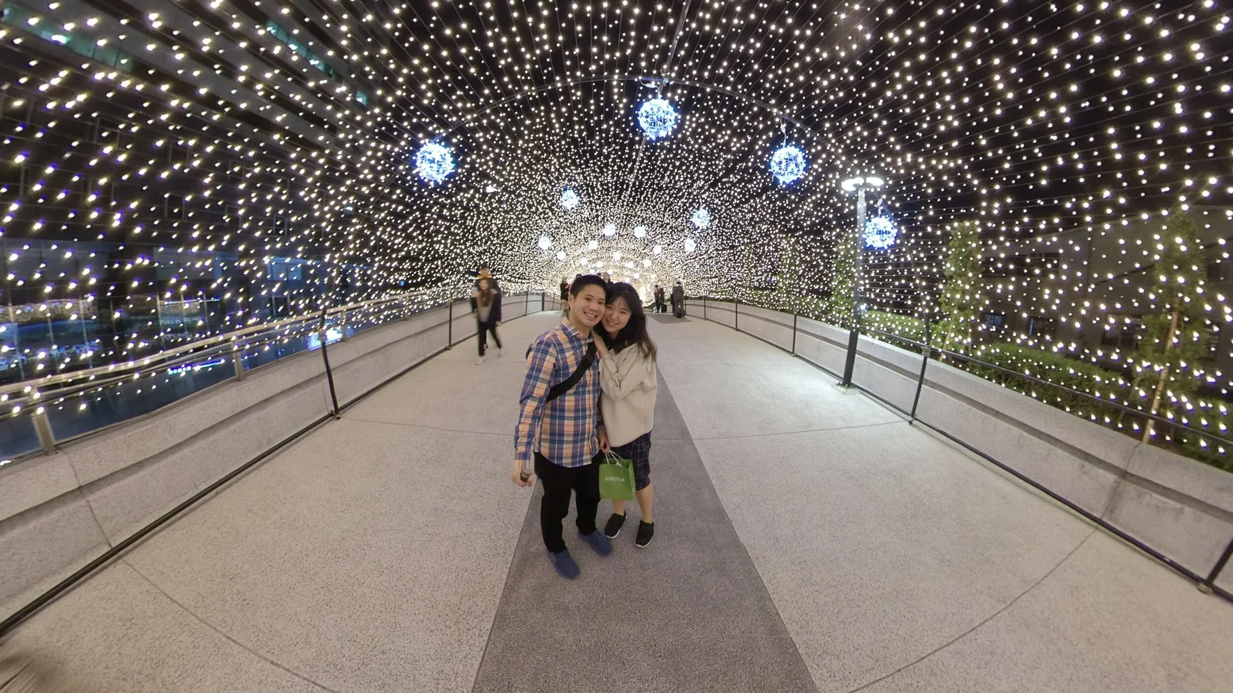 Lights in the park.