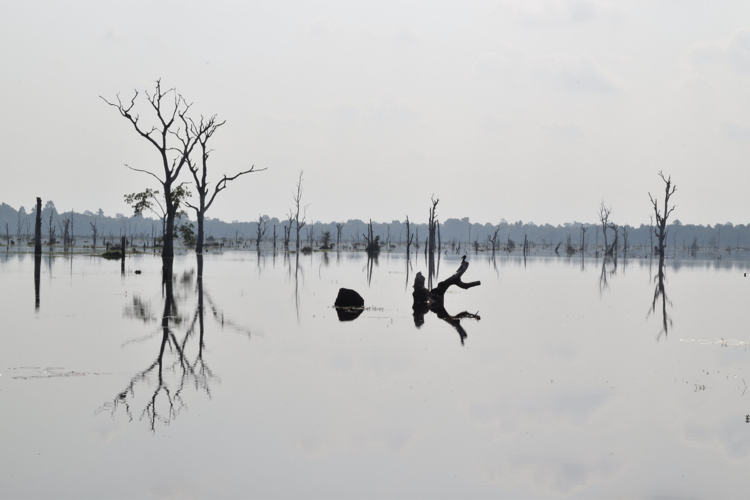 Crossing the lake to reach Neak Pean temple. Siem Reap, Cambodia.