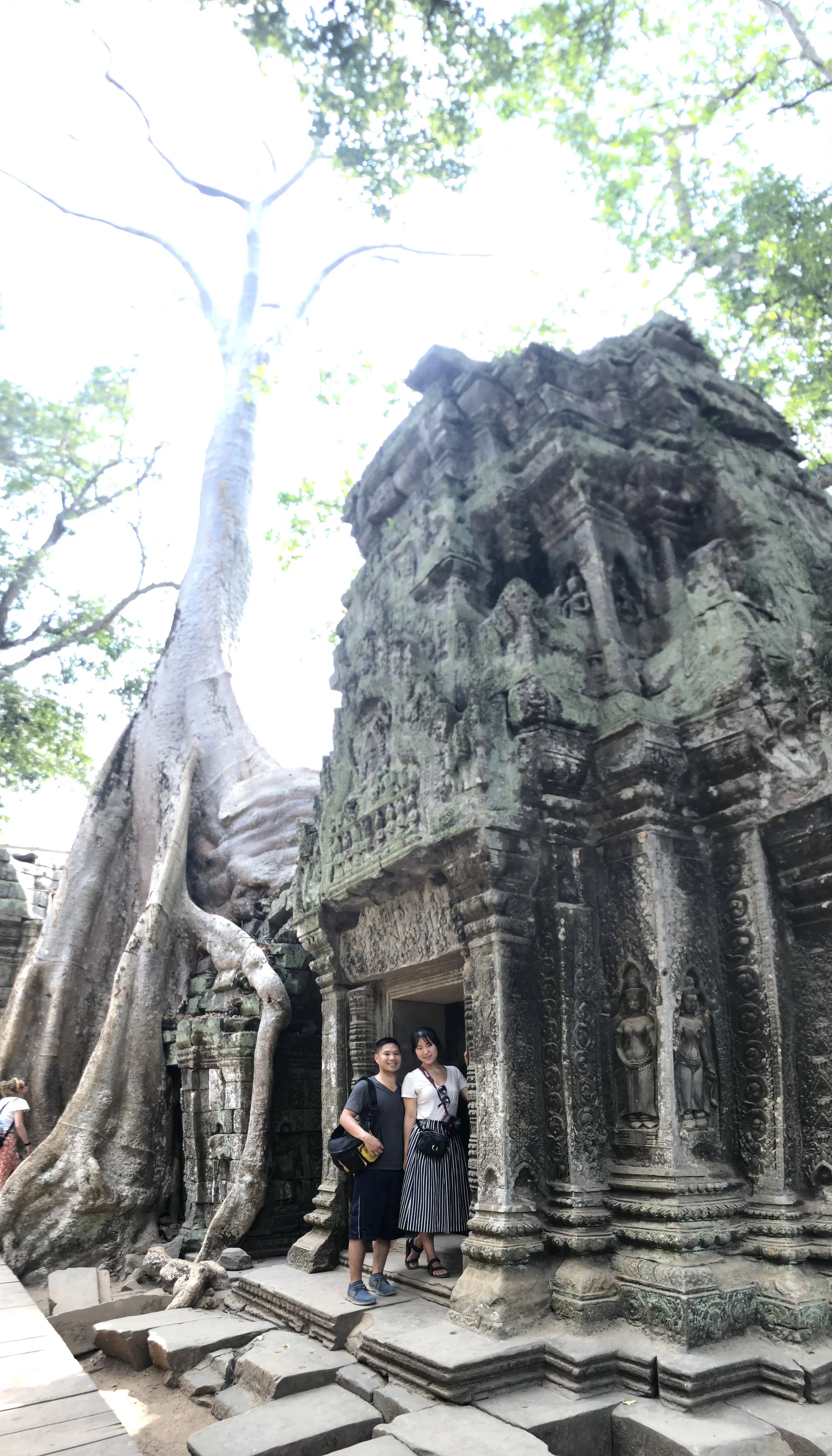 Overgrown roots at Ta Prahm. Siem Reap, Cambodia.