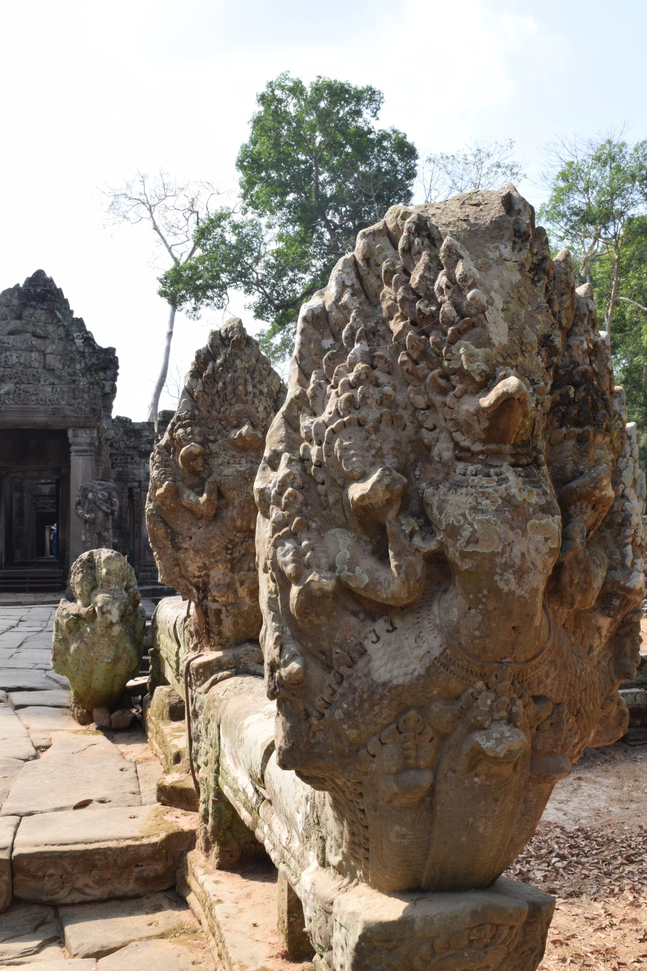 Naga the snake. Siem Reap, Cambodia.