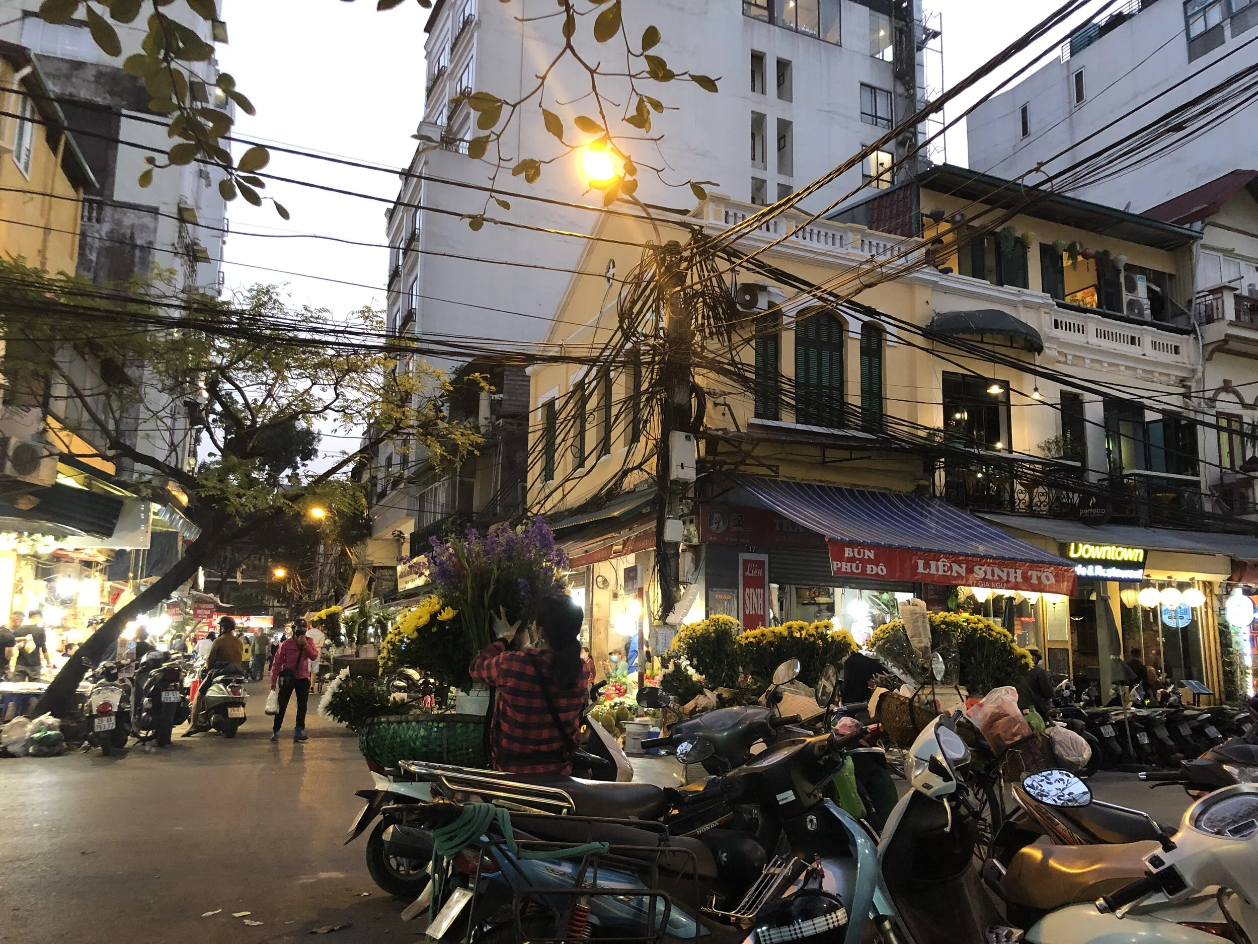 Motorcade flower market. Ha Noi, Vietnam.