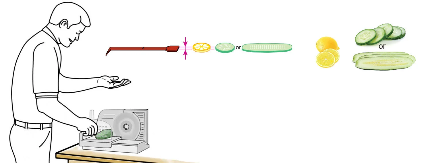 USING A SLICER OR MANDOLIN ONLY, cut a test slice and compare it to the CQ Slicer Key/Wand’s handle. Adjust your slicer or mandolin until your slices match the thickness of the CQ Slicer Key/Wand. Once calibrated, slice up all ingredients as necessa…