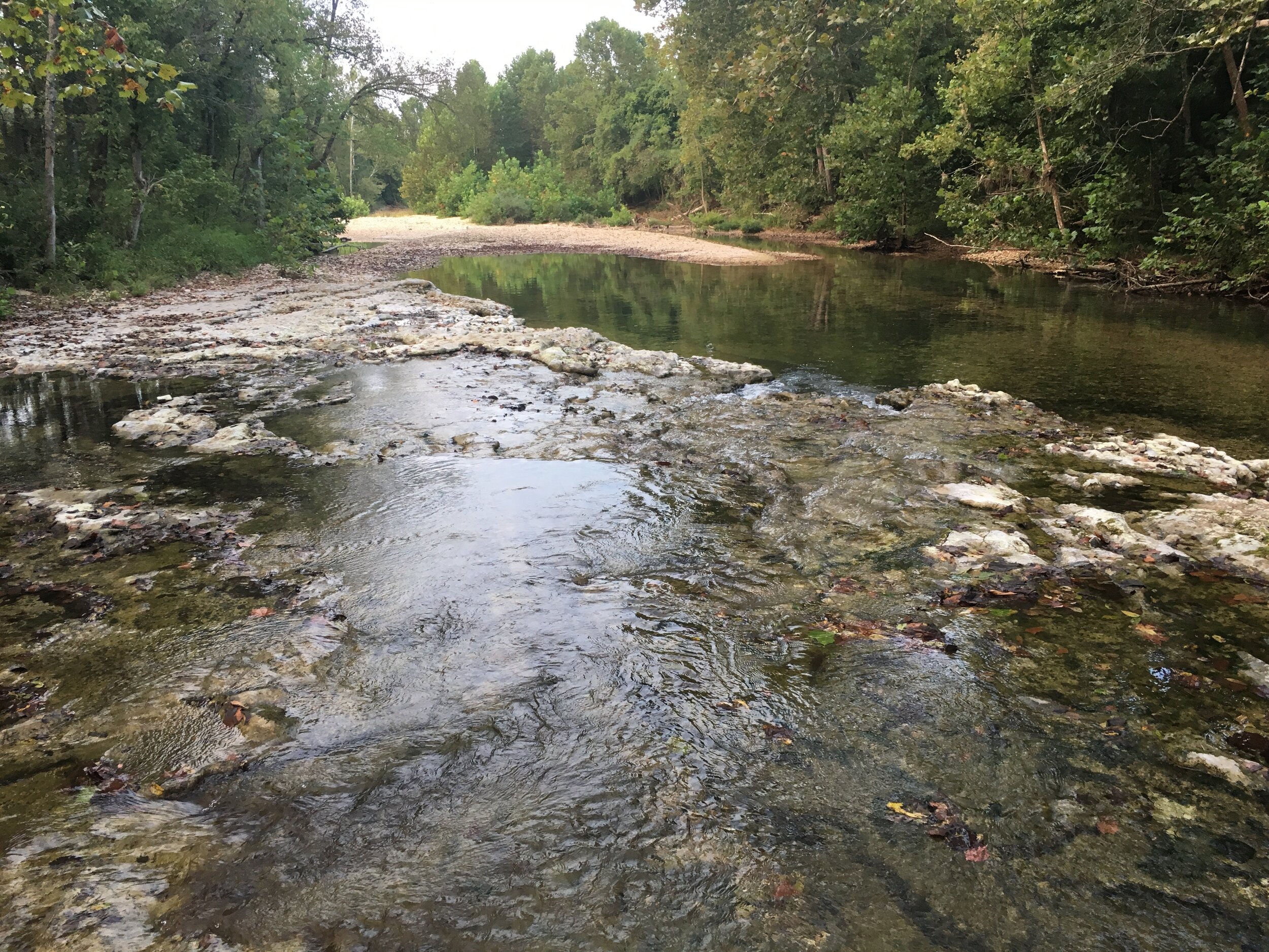 Bull Creek as it flows through Bull Mills, a favorite field site of the lab