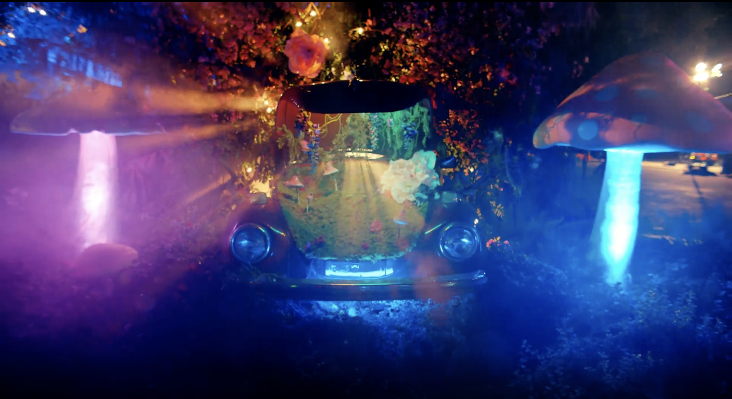 Screen Shot 2021-06-18 at 1.17.46 PM.png