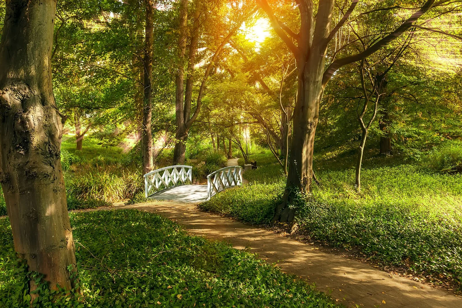 The 5 Best Places to Practice SelfCare in Brentwood, TN From a