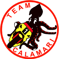 Team Calamari 