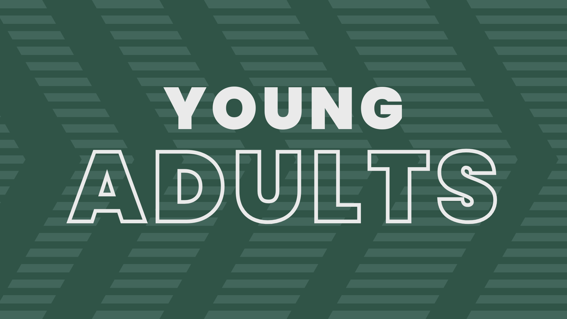 Young Adults Summer Cookout
