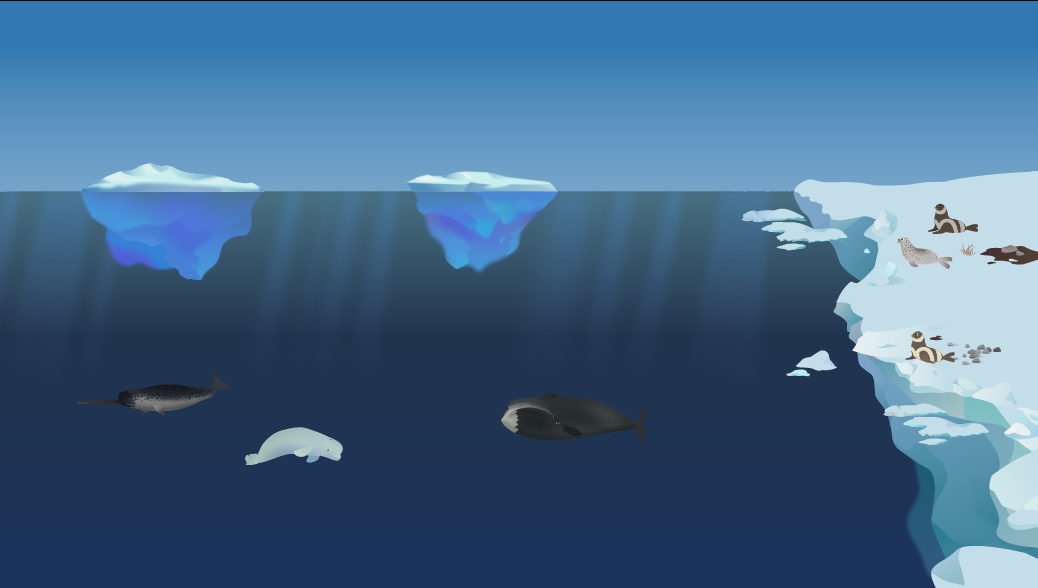 Assets_6.png
