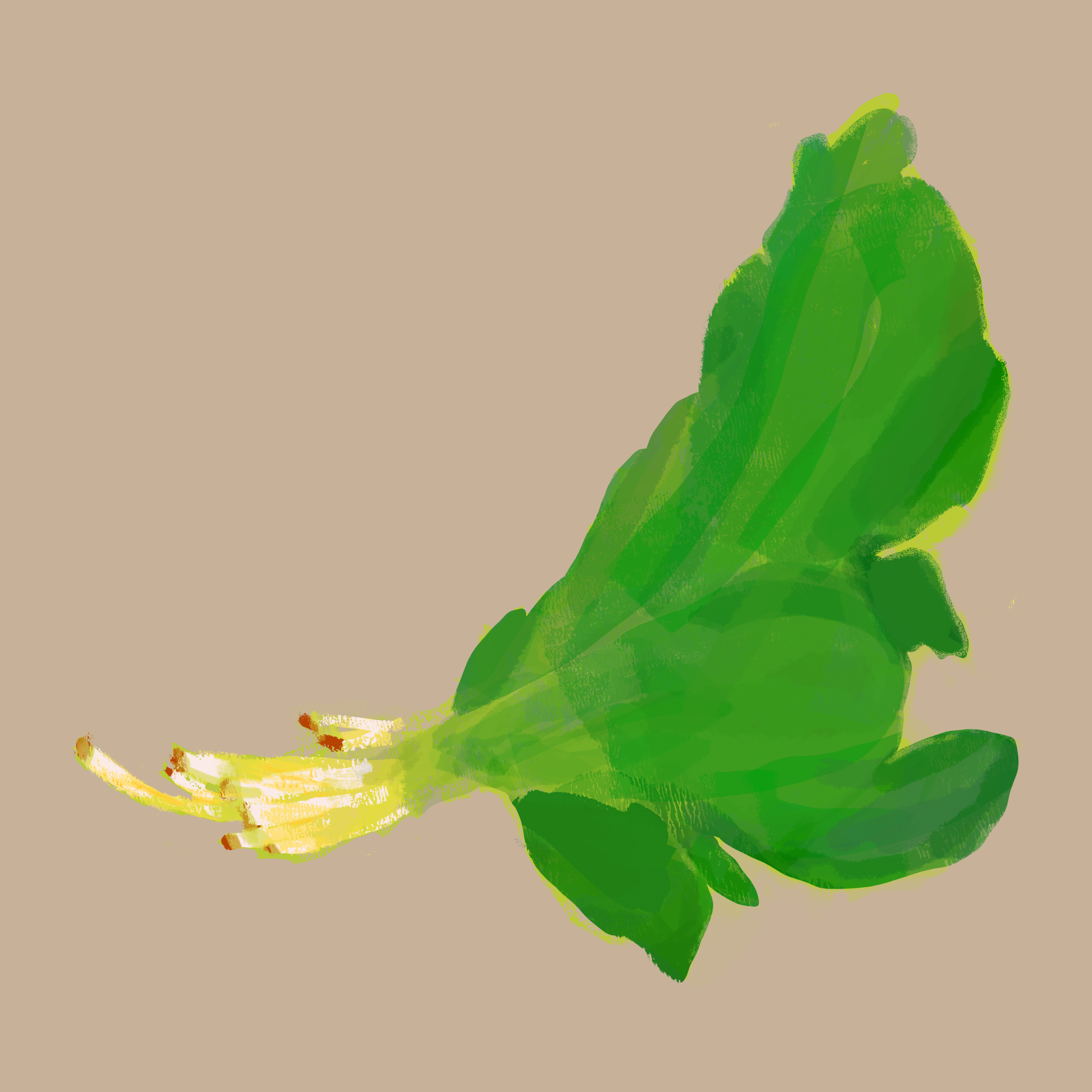 Spinach.png
