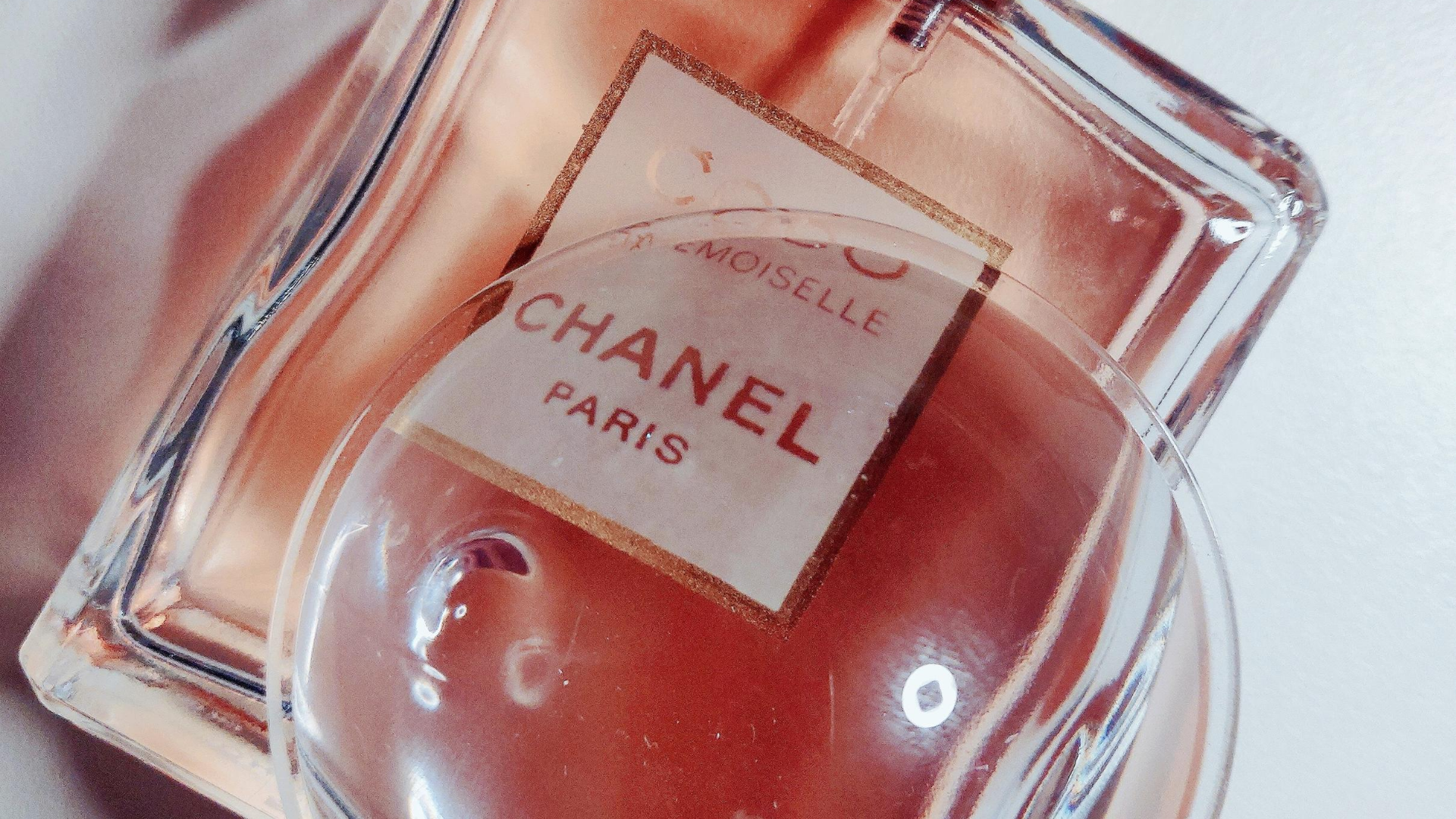 Deep dive into Chanel perfumes in Paris at their immersive beauty  experience till 9th January 2023