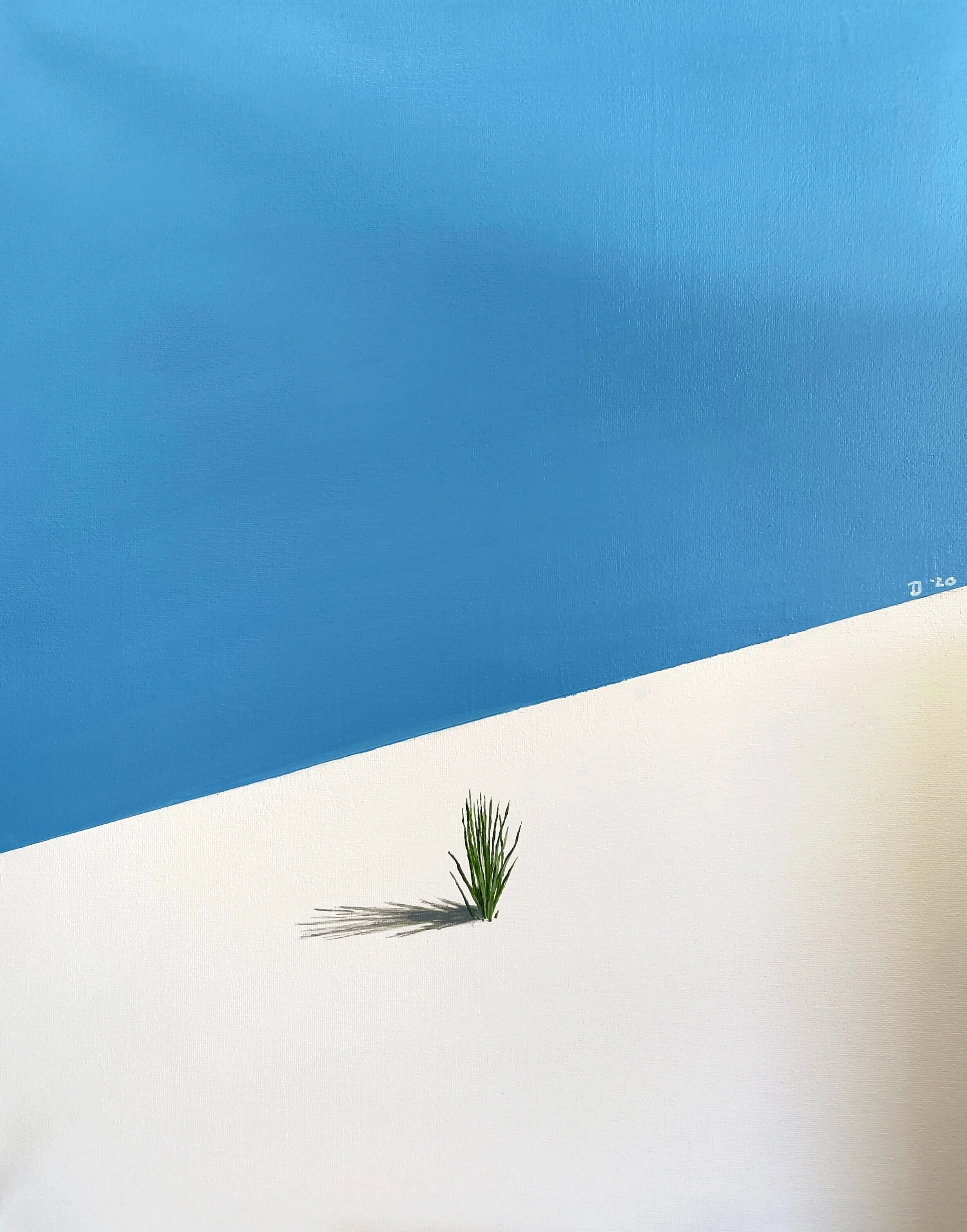 White Sands
