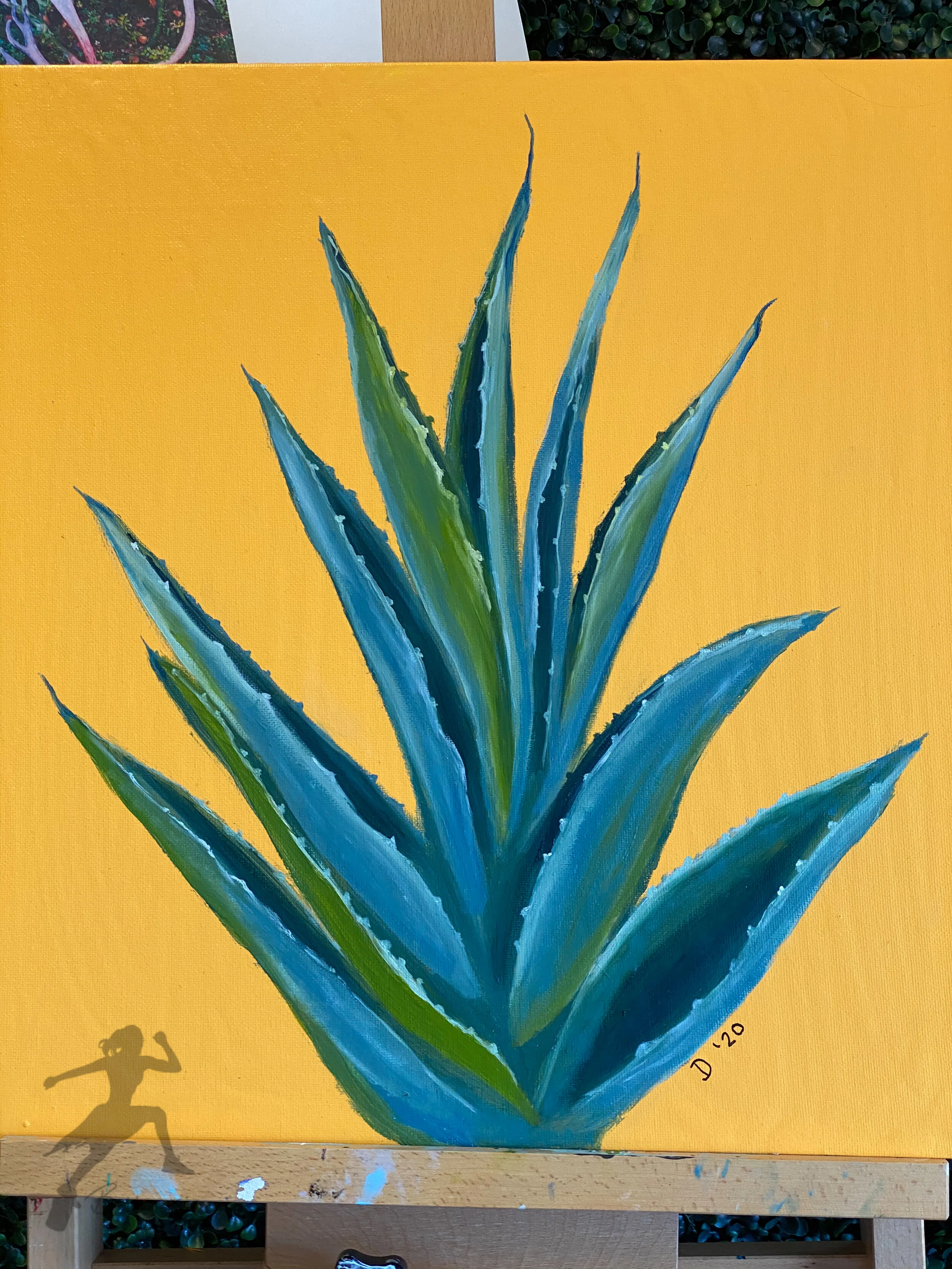 Aloe