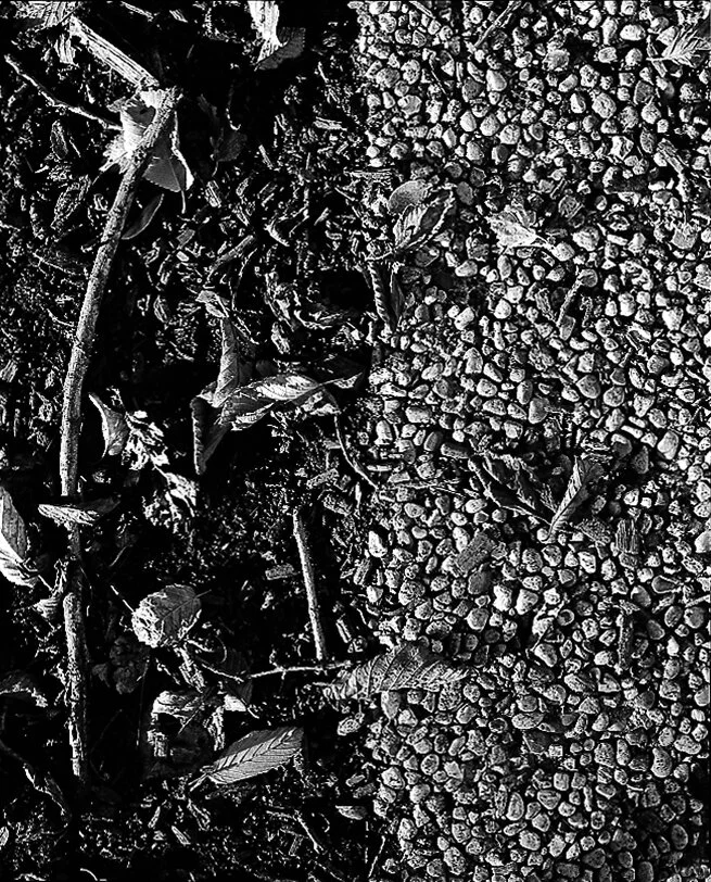 groundwork1-Edit.jpg